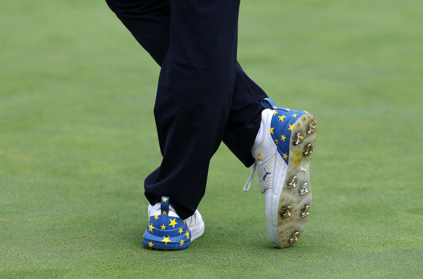 Wood took 1 point from 2 in 2016