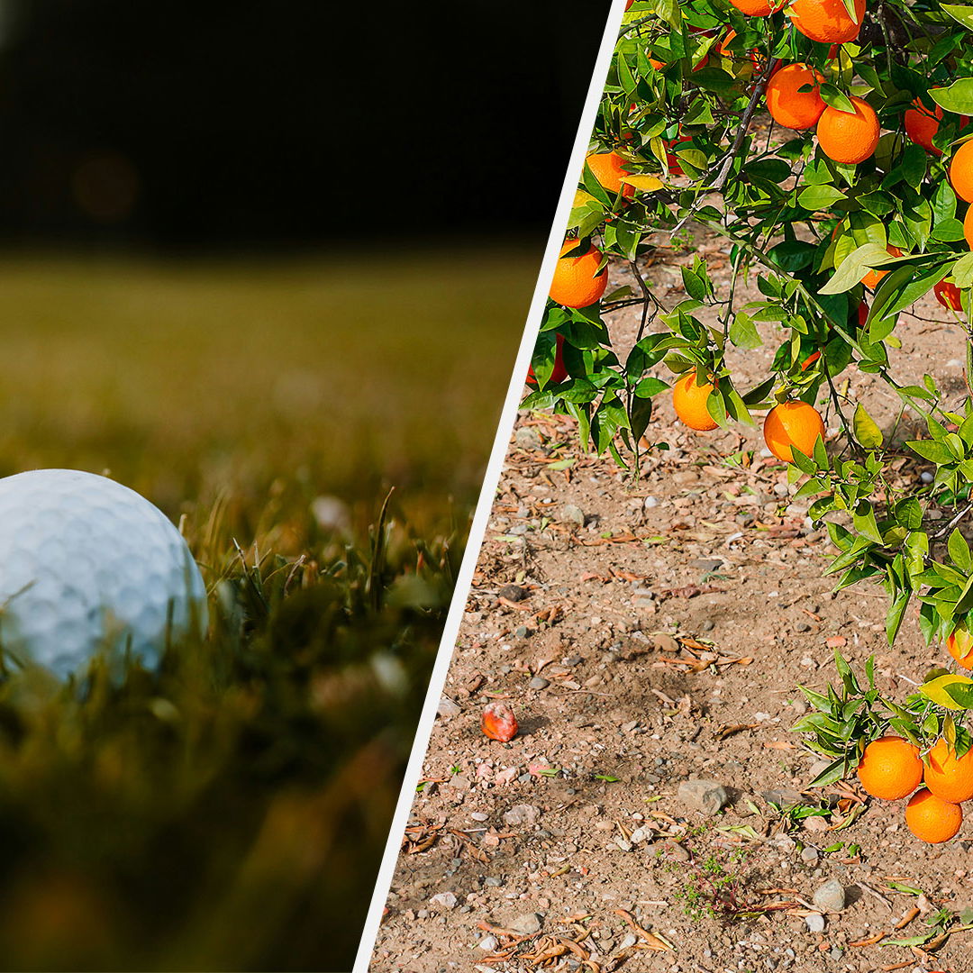 Images courtesy Unsplash/Freepik