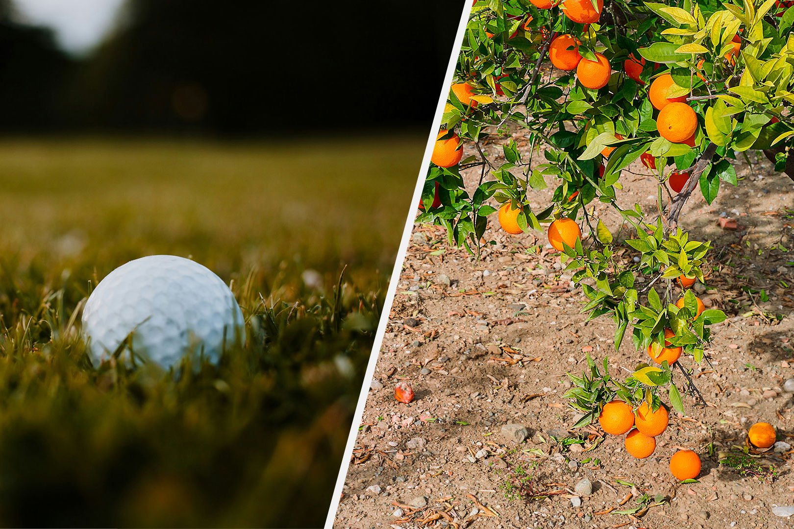 Images courtesy Unsplash/Freepik