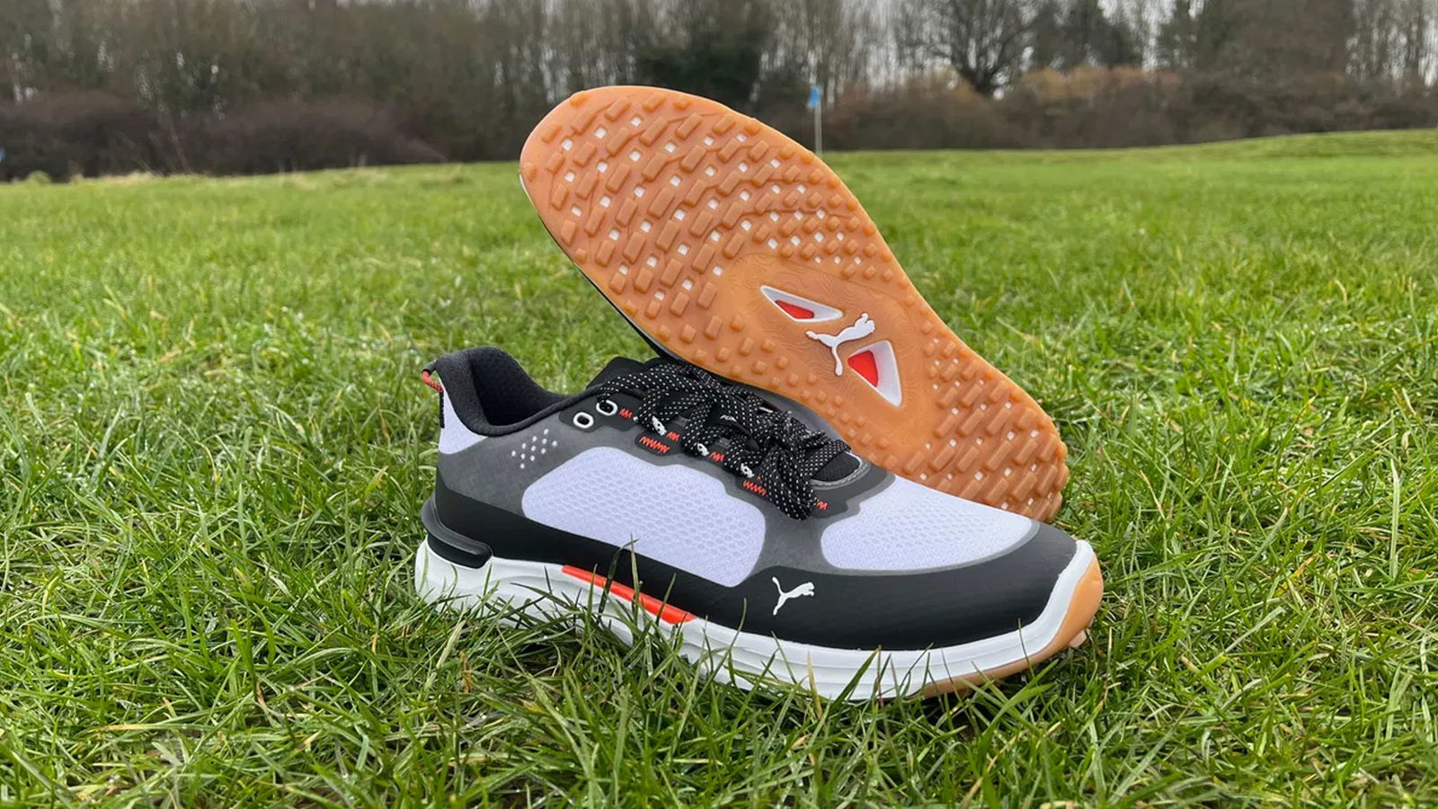 Puma Ignite Elevate X