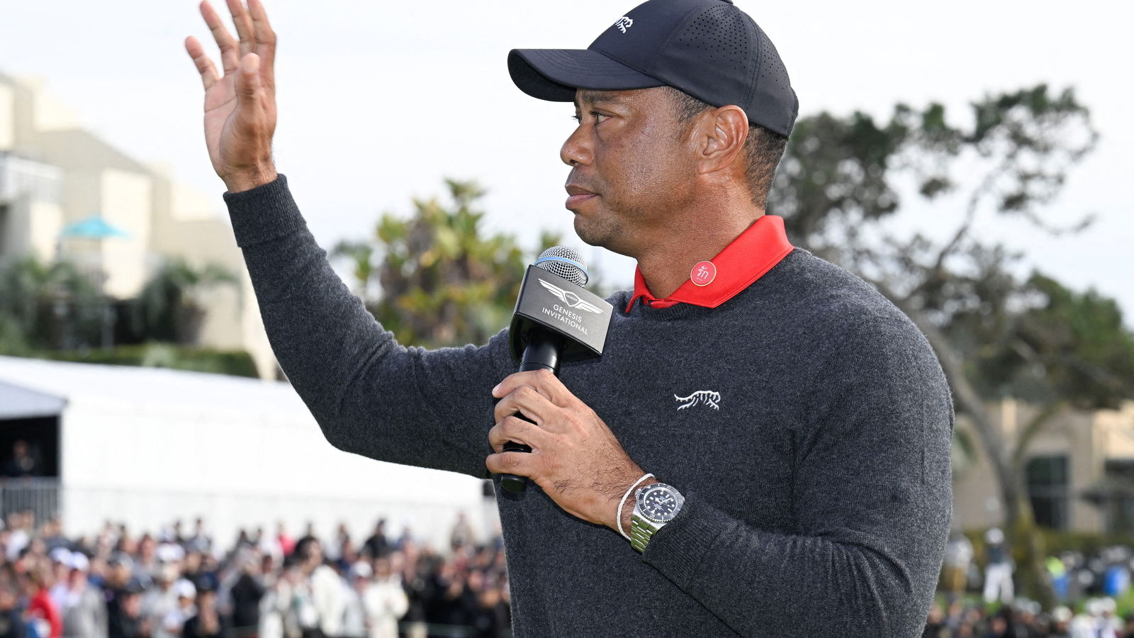 Tiger Woods 