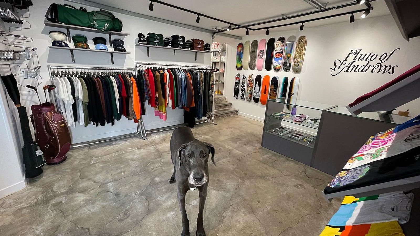 Courtesy Pluto of St Andrews