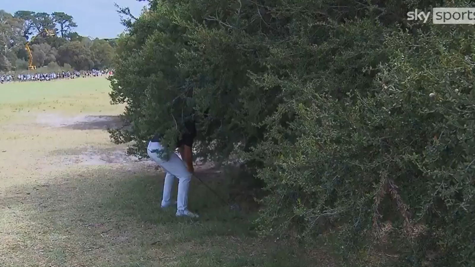 Credit: X/SkySportsGolf