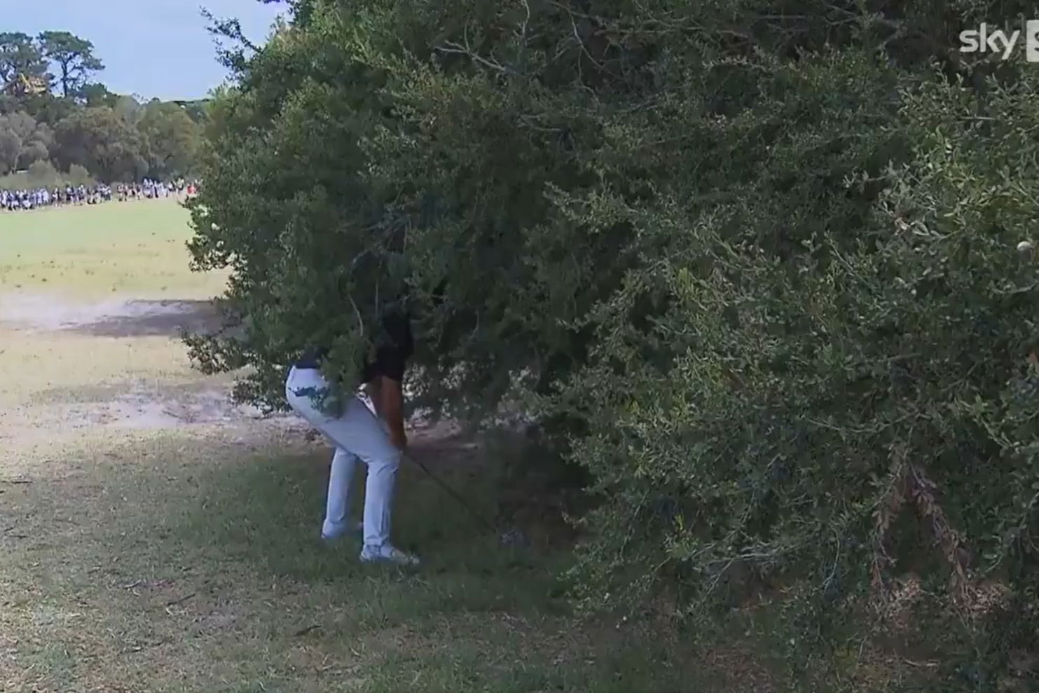 Credit: X/SkySportsGolf