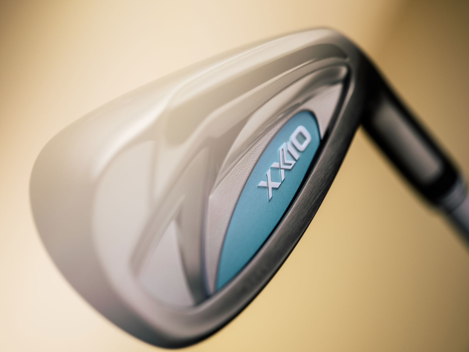 XX1O 14 Ladies Irons