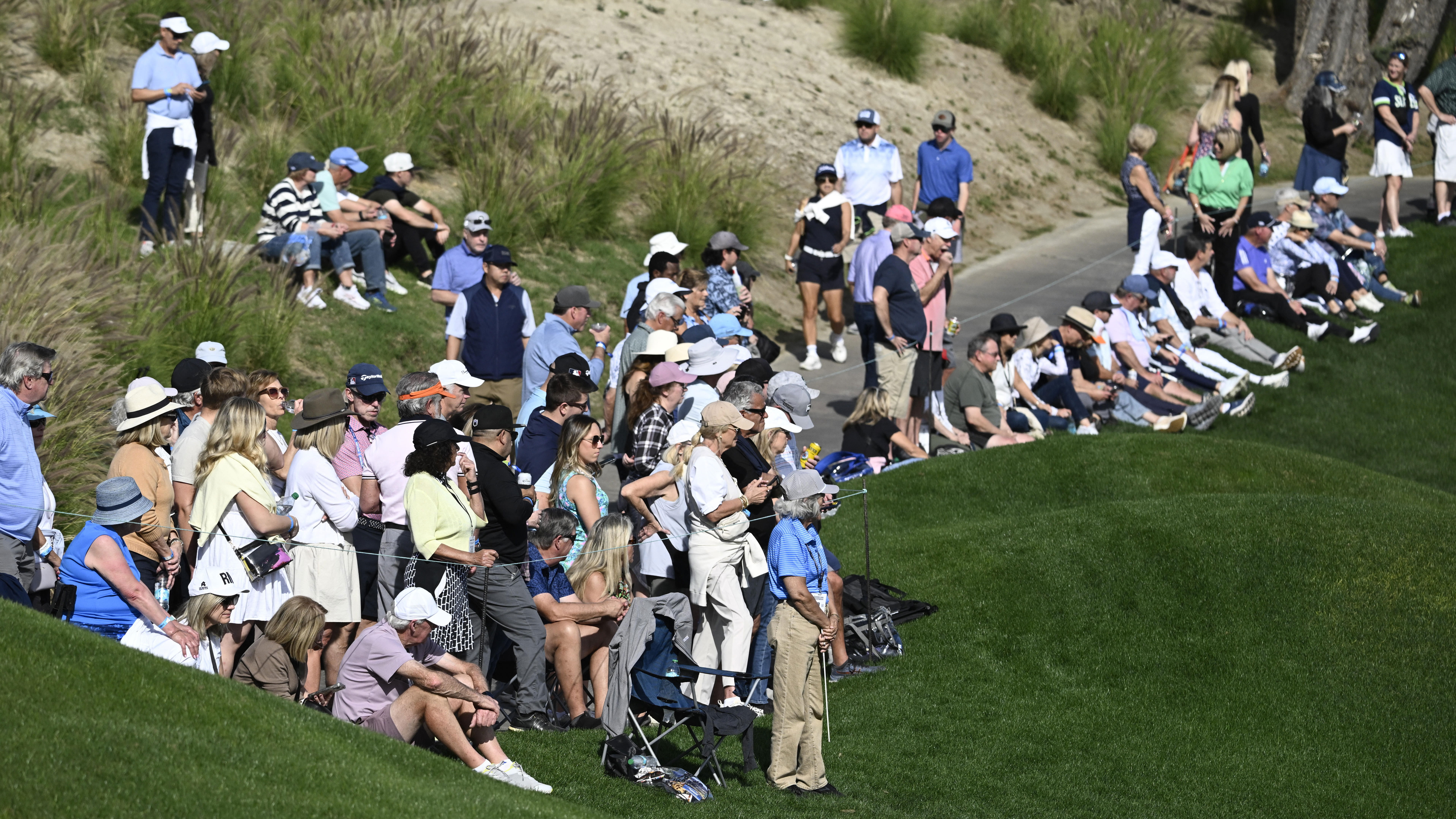 DP World Tour suspends player 