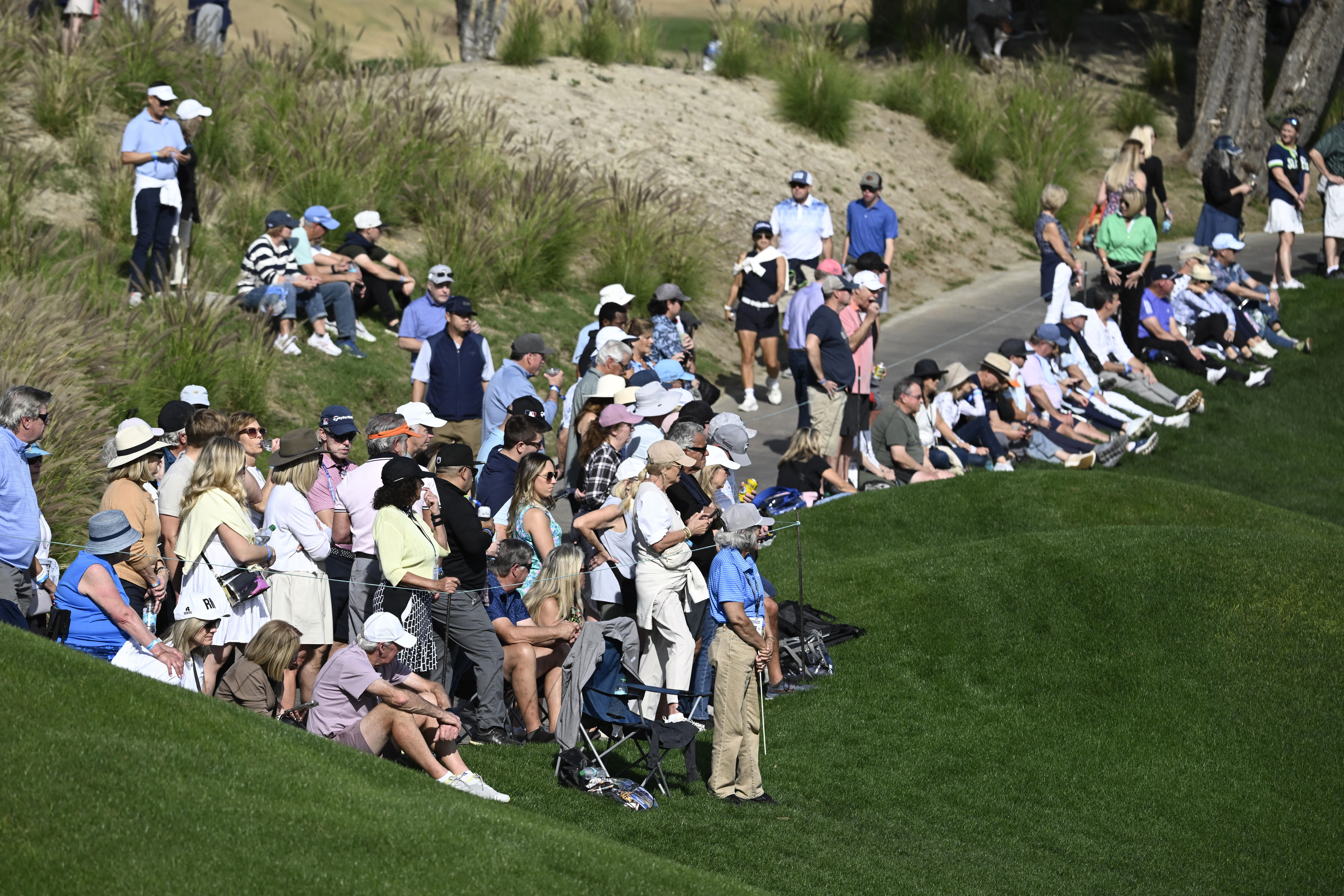 DP World Tour suspends player 