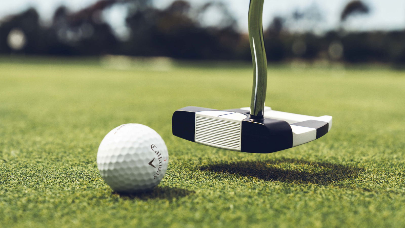 The Ai-DUAL range's new 1/2 ball alignment aid. Courtesy Odyssey