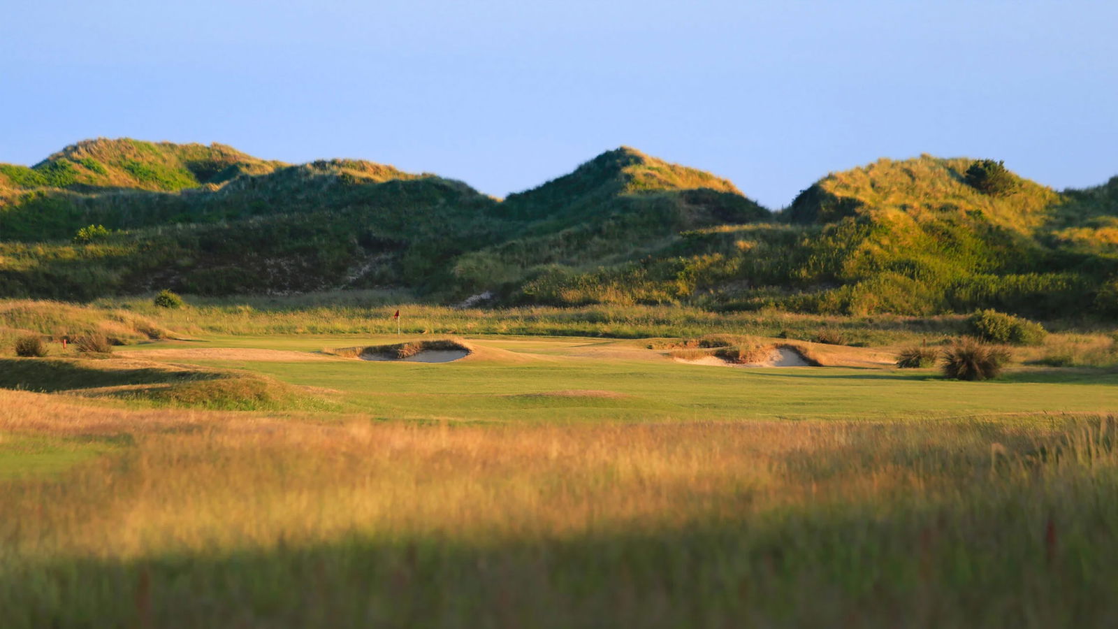 Courtesy Royal St David's