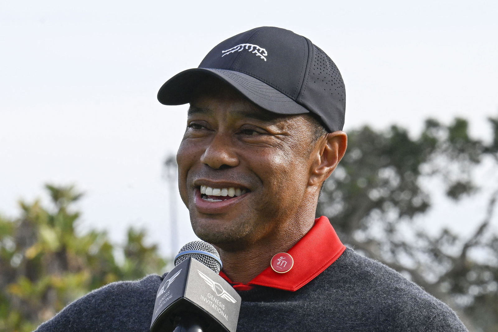 Tiger Woods