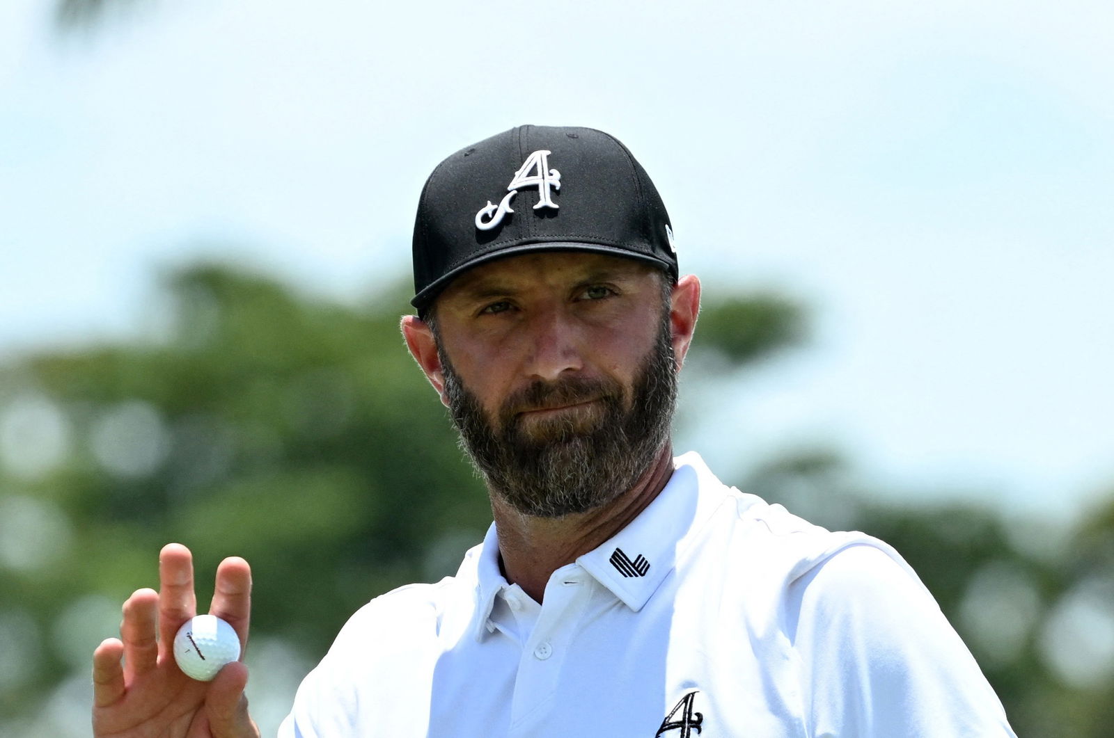 Dustin Johnson