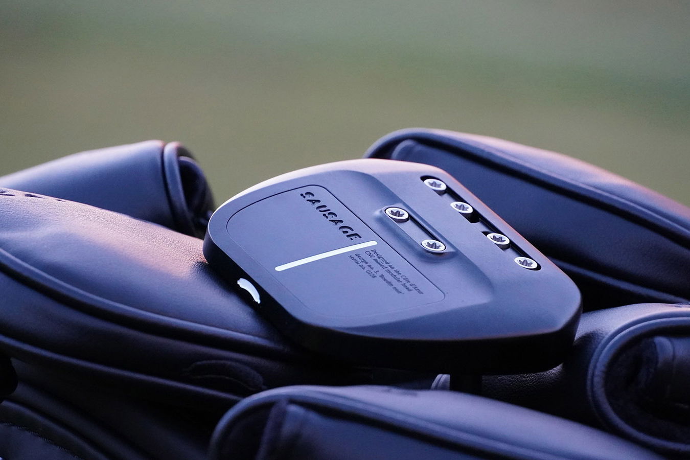 Courtesy Sausage Golf