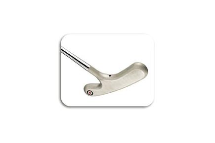 Scotty Cameron Pro Platinum