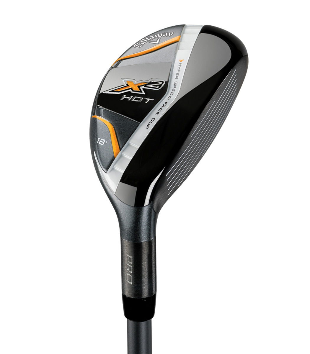 Pro Mini Hybrid