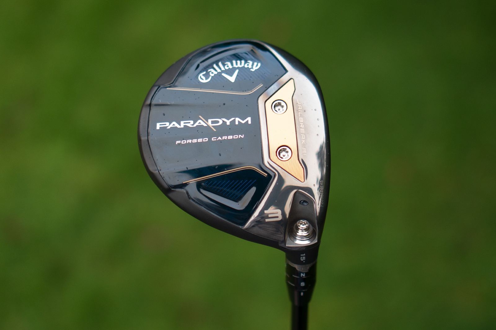 3FW1.png?width=1600&