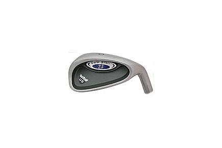 Golf shoe