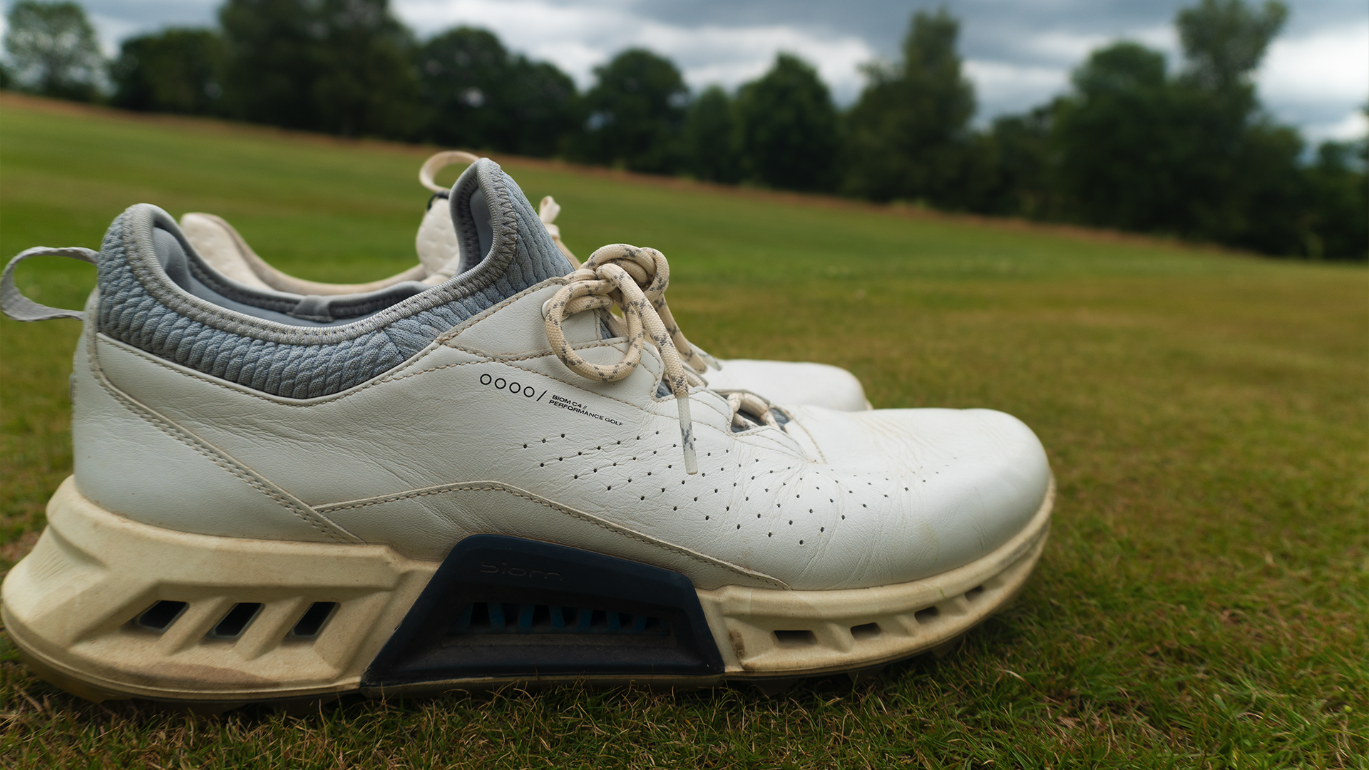 ECCO BIOM C4 Golf Shoes Review | GolfMagic
