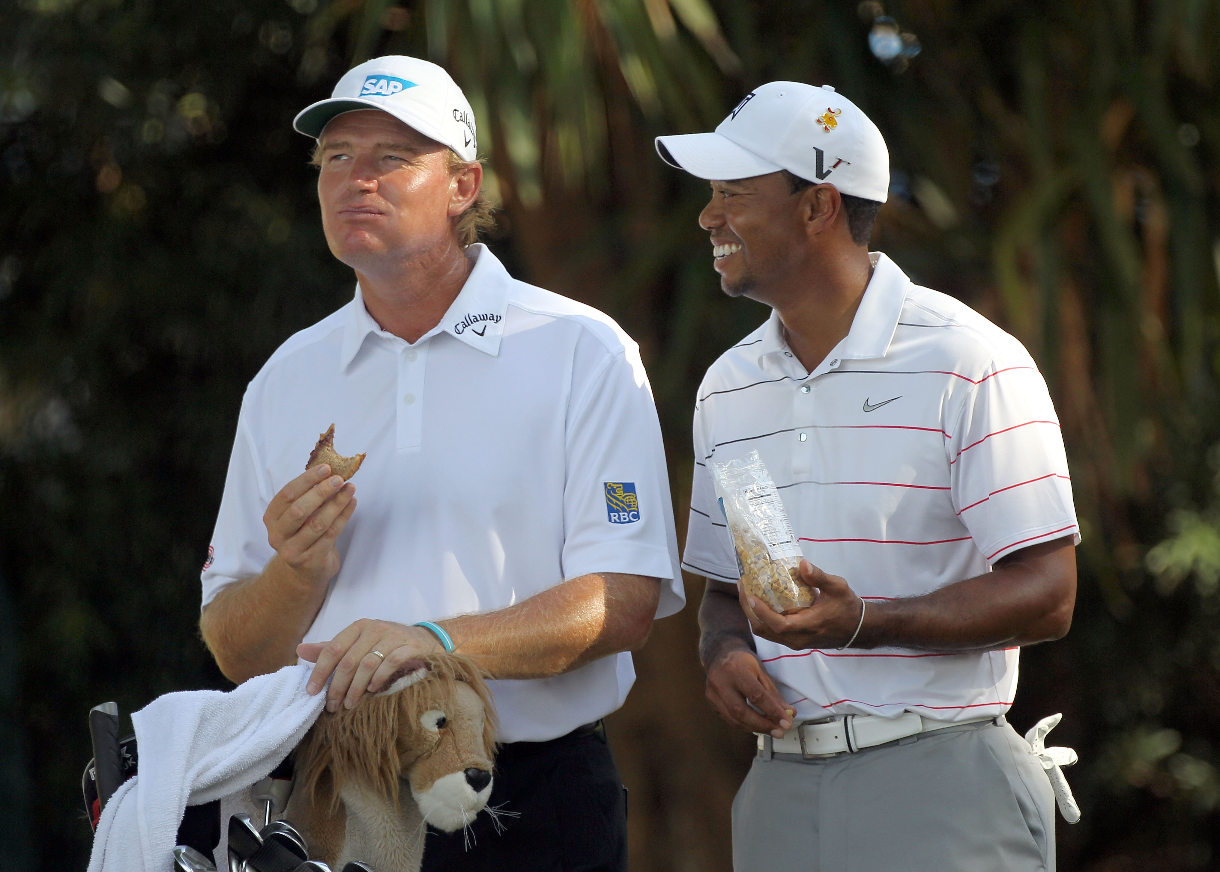 Tiger Woods and Ernie Els to duel at 2019 Presidents Cup