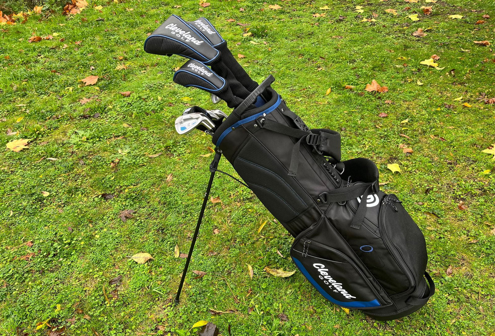 Cobra AeroJet Irons: 