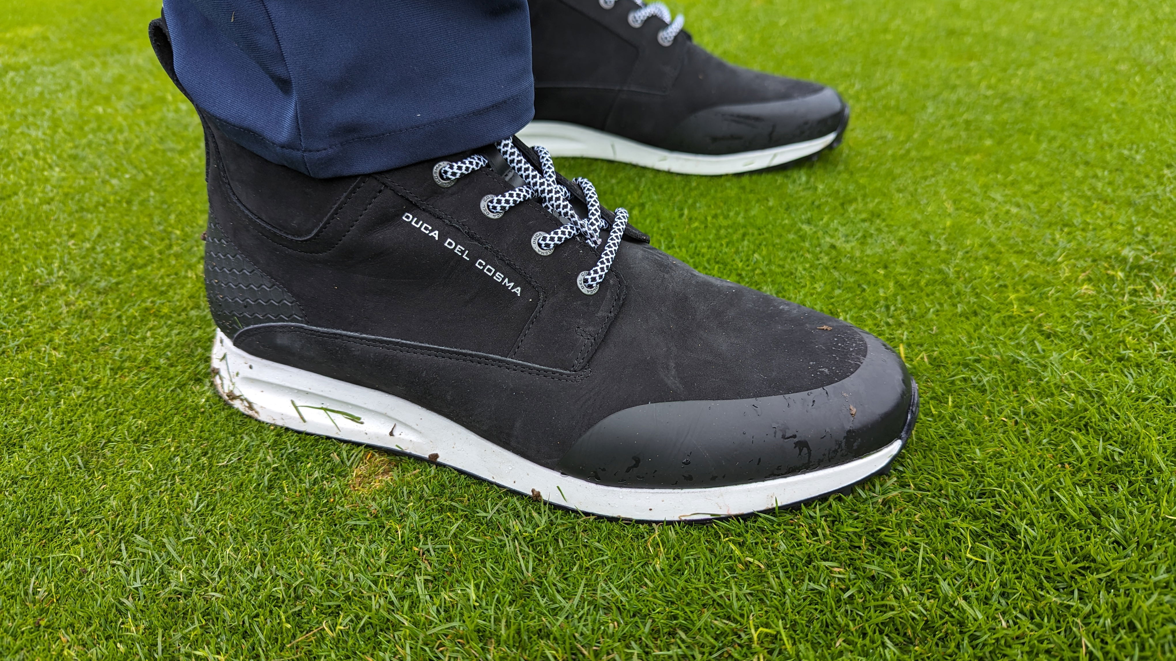 Duca del Cosma Stanford