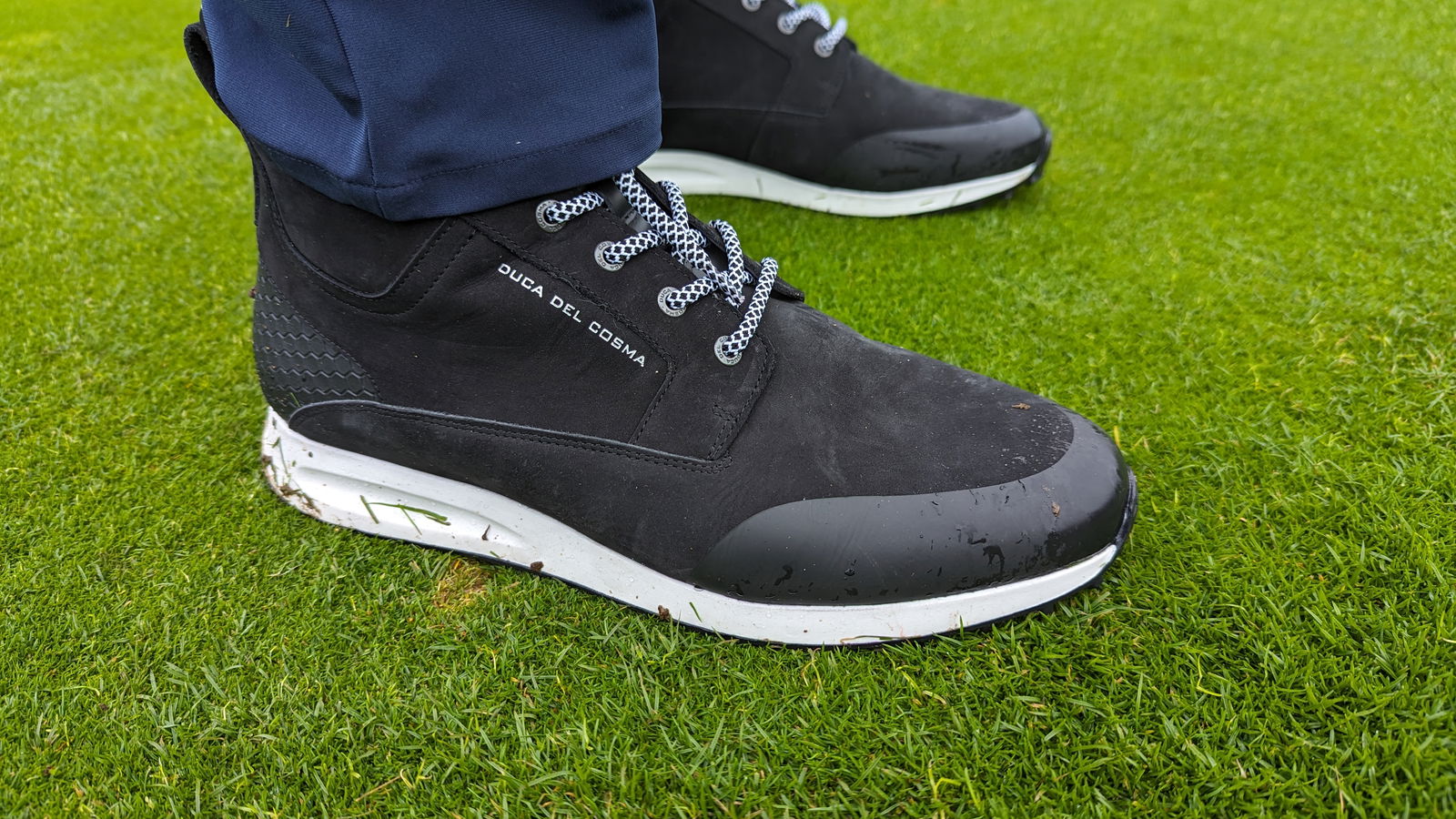 Duca del Cosma Stanford