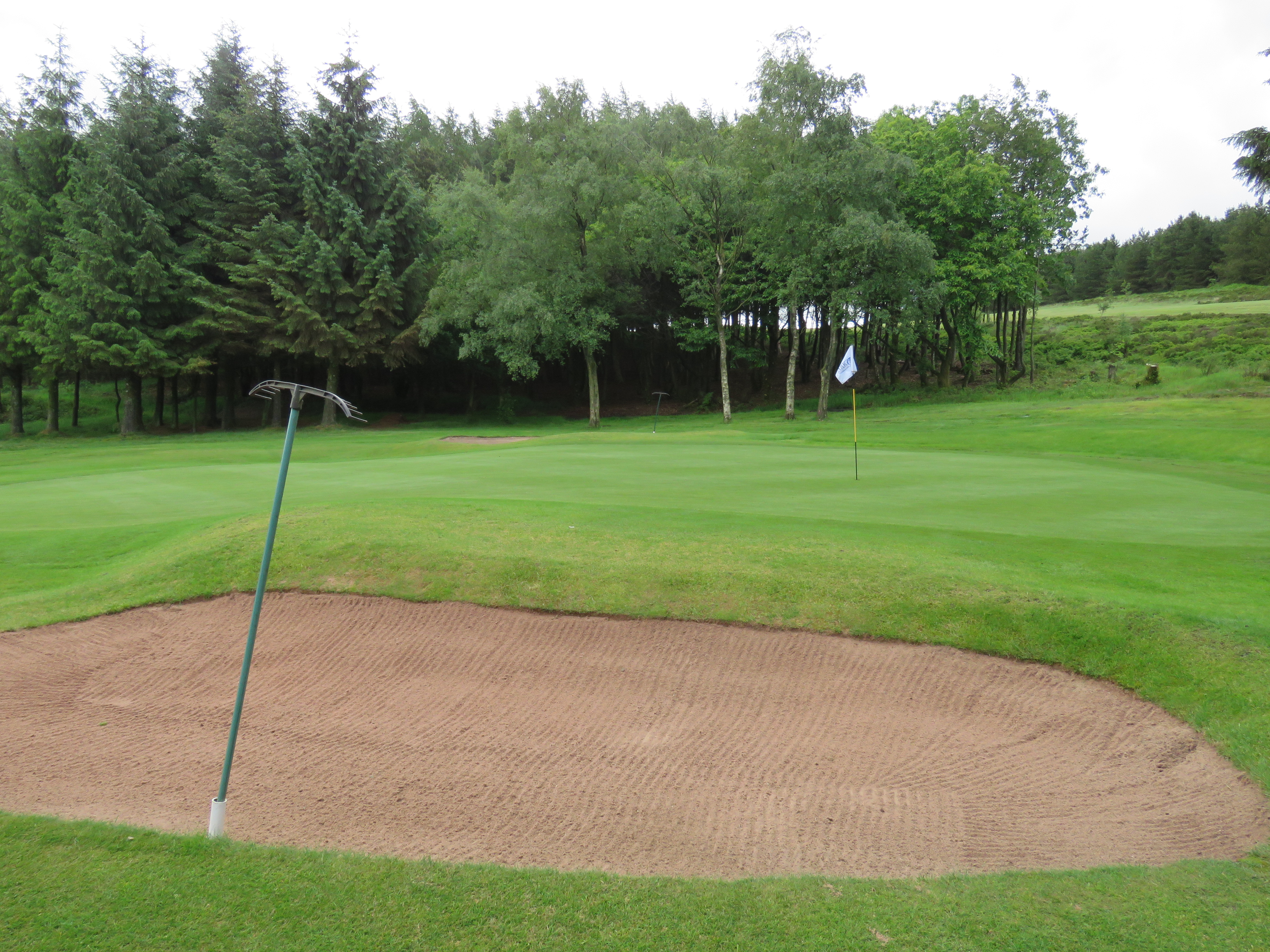 Golf's great debate! Do you leave the rake IN or OUT of the bunker?