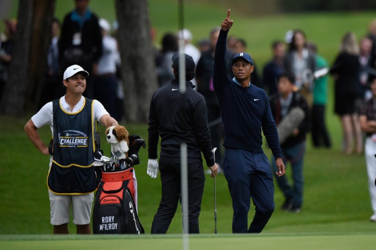 How do Tiger Woods' YARDAGES stack up against your own golf game?