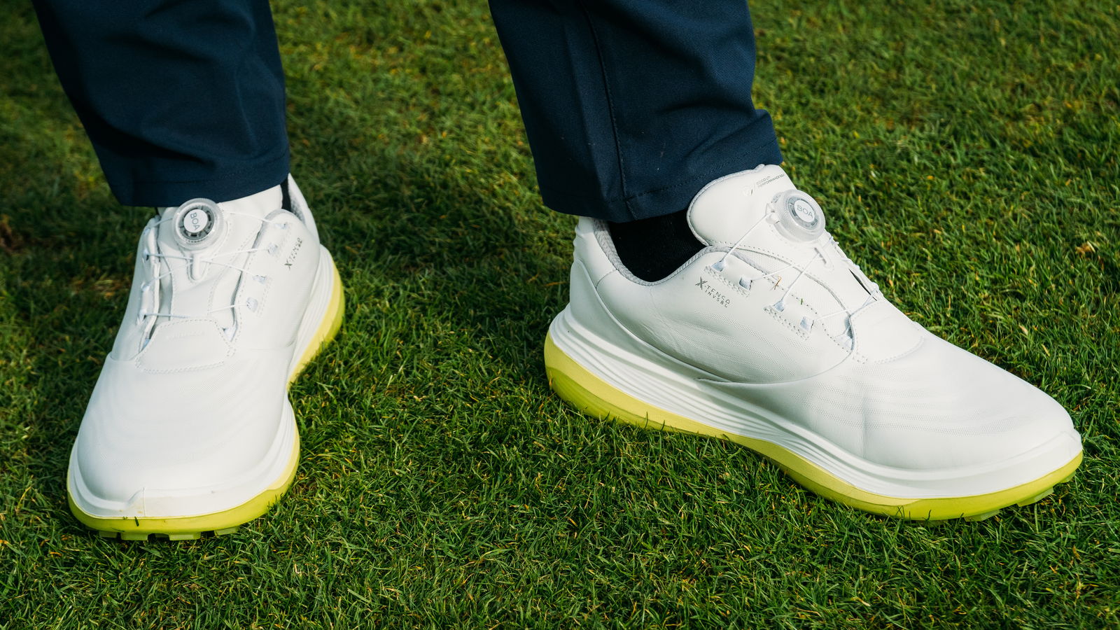 ECCO LT1