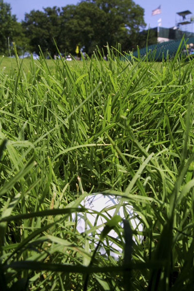 Ball in the rough