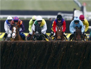 And they're off: Cheltenham Festival