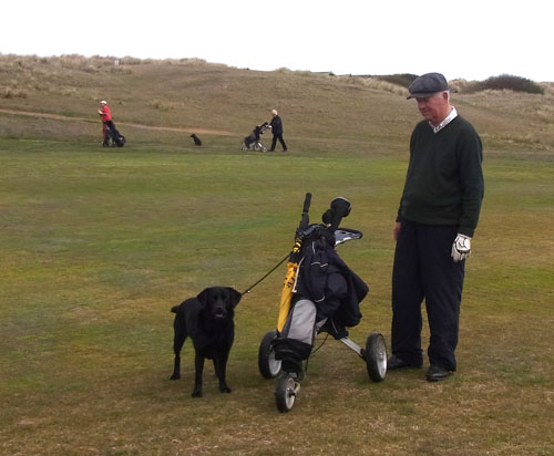 ...as are dogs and their golfing owners