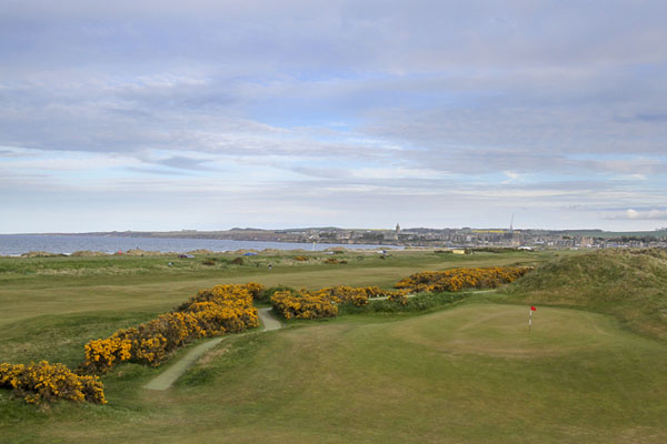 15th green from the top of the mound