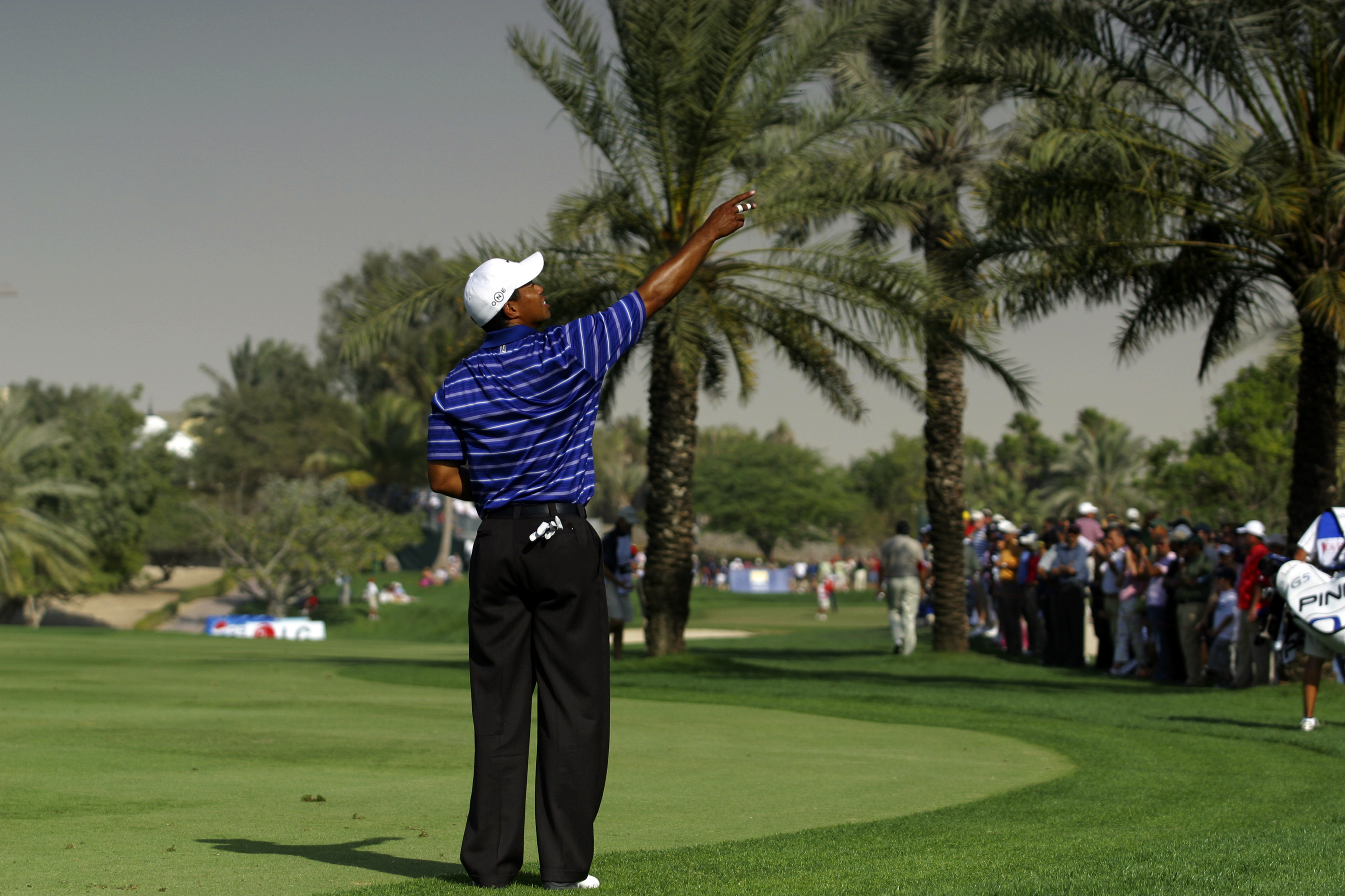 Tiger often chucks grass into the air to measure the wind speed and direction, but is it an accurate masure?