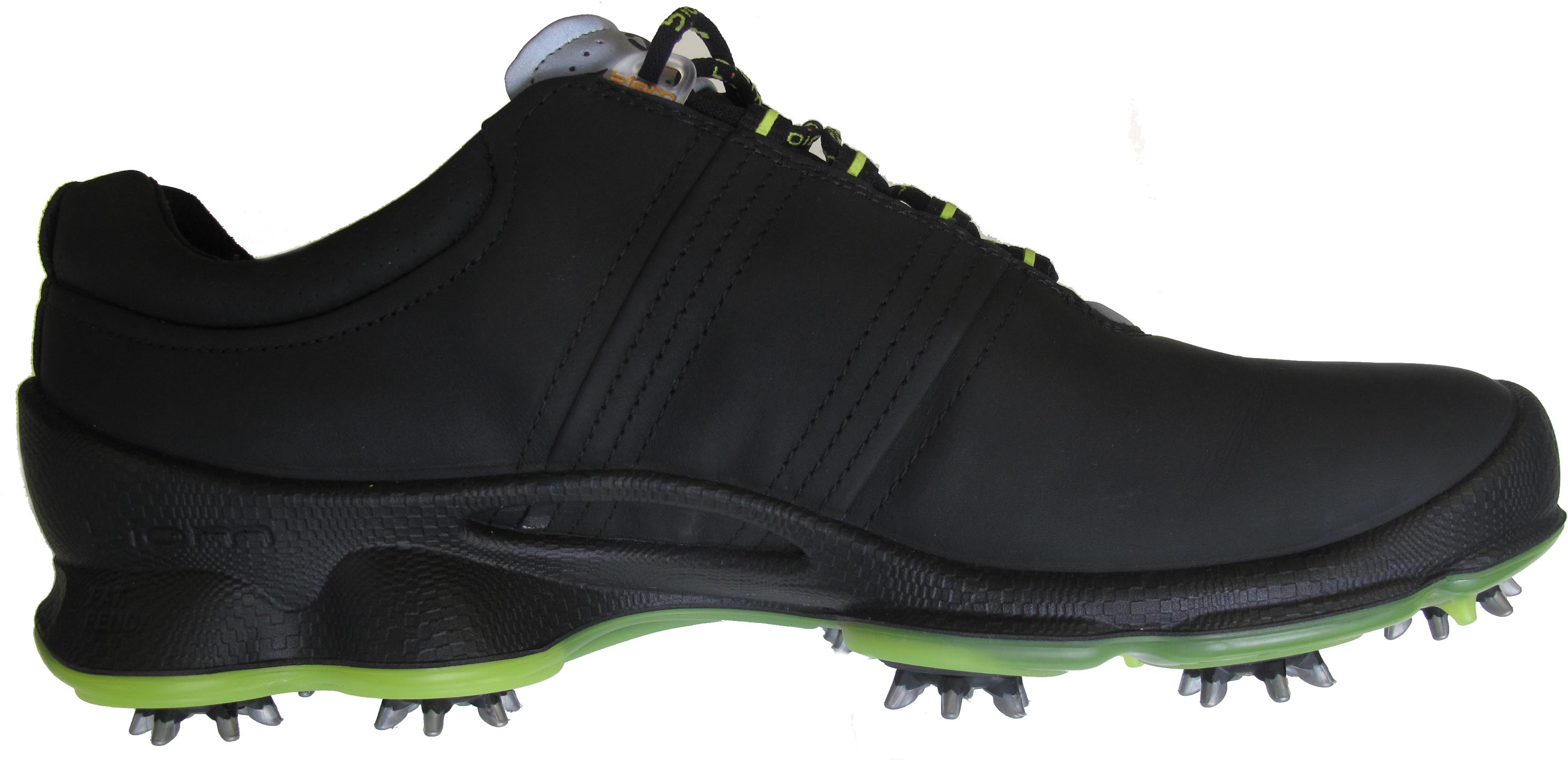 New: ECCO Biom Golf shoe