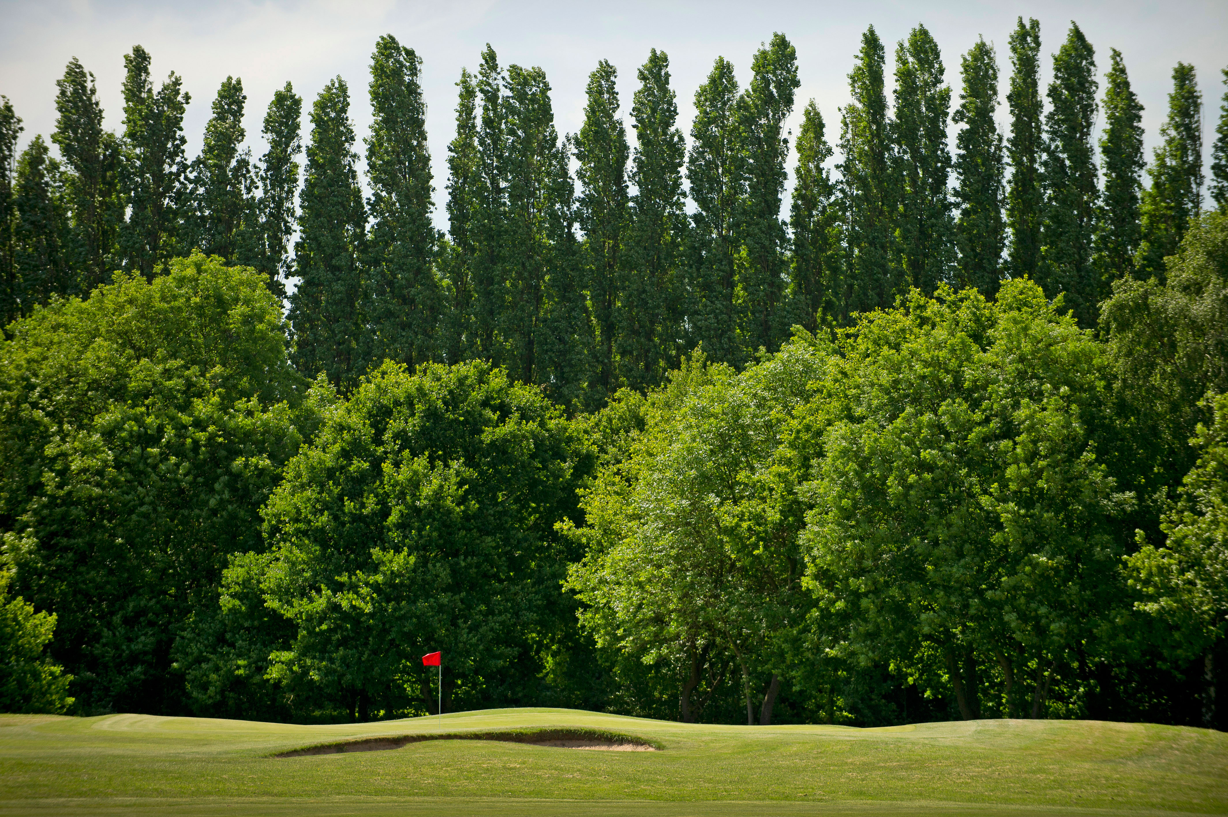 Review: Hersham Golf Club