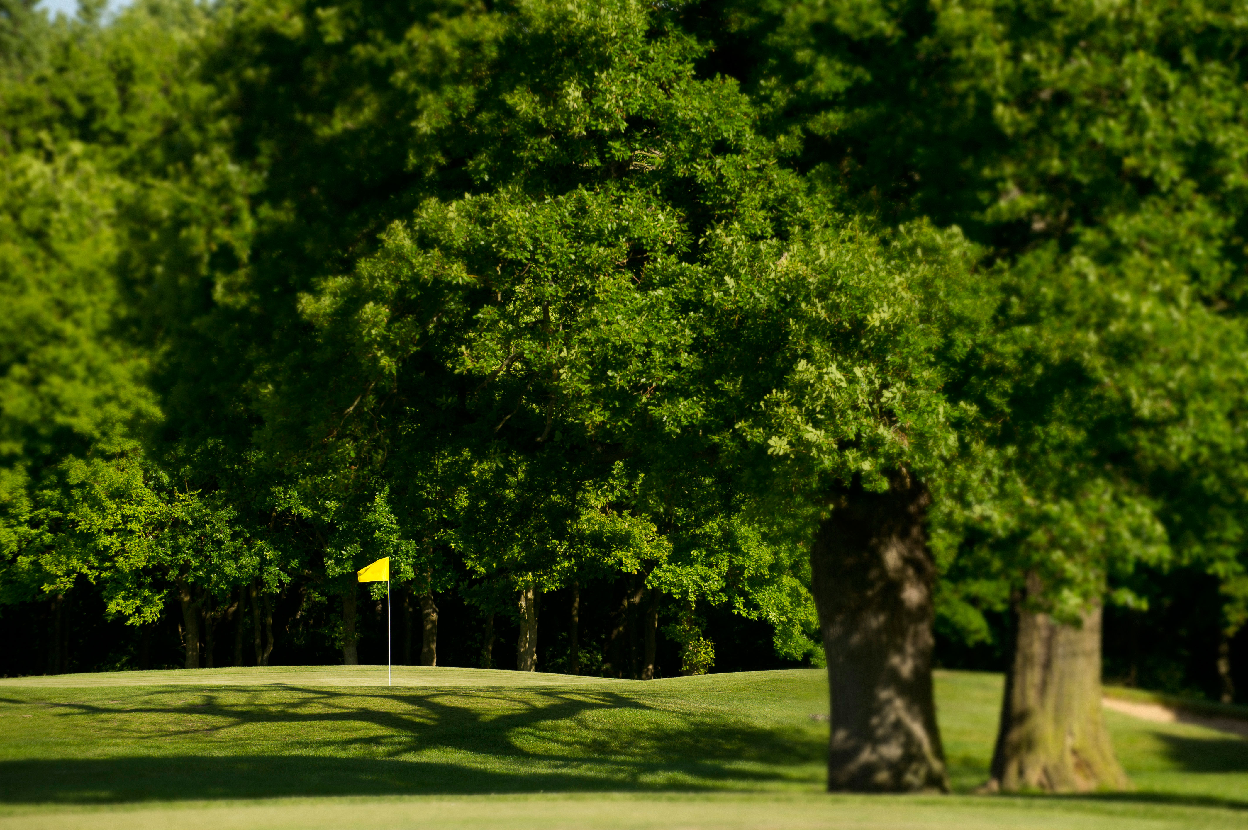 Review: Hersham Golf Club