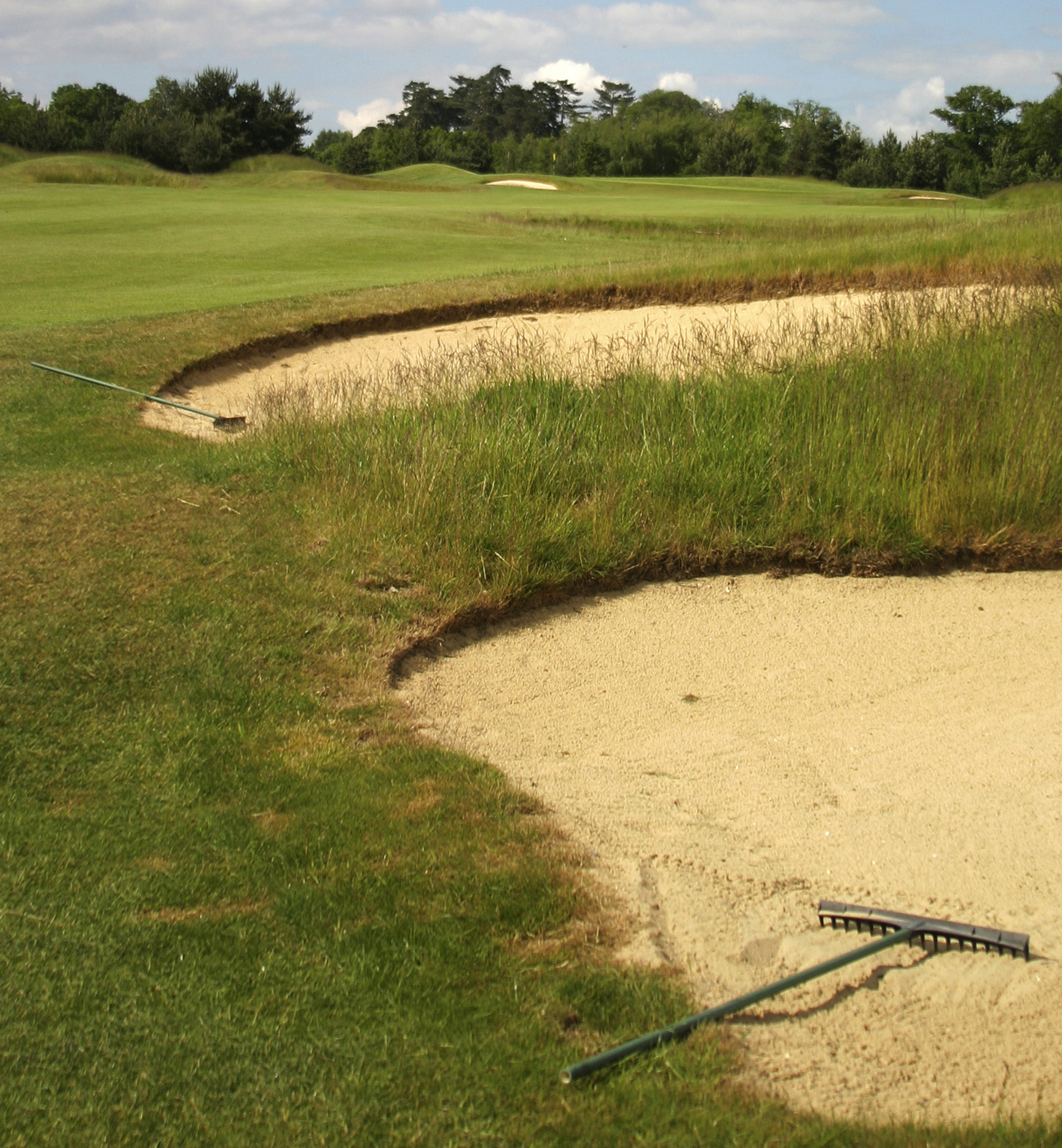 Rule 24-1: When the ball against a rake rolls into the bunker the ball must be replaced if it moves when the rake is removed 