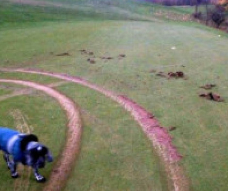 West Lothian Golf Club, the latest victim of golf vandalism