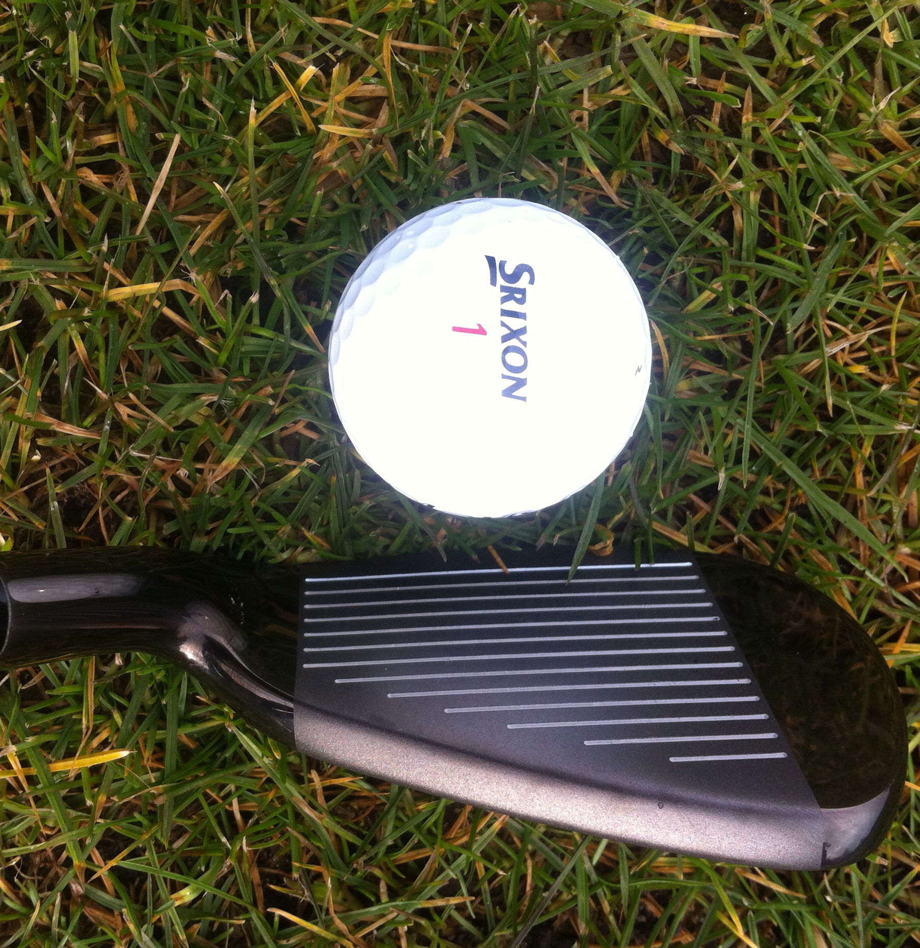 Lynx Black Cat Plus GolfMagic