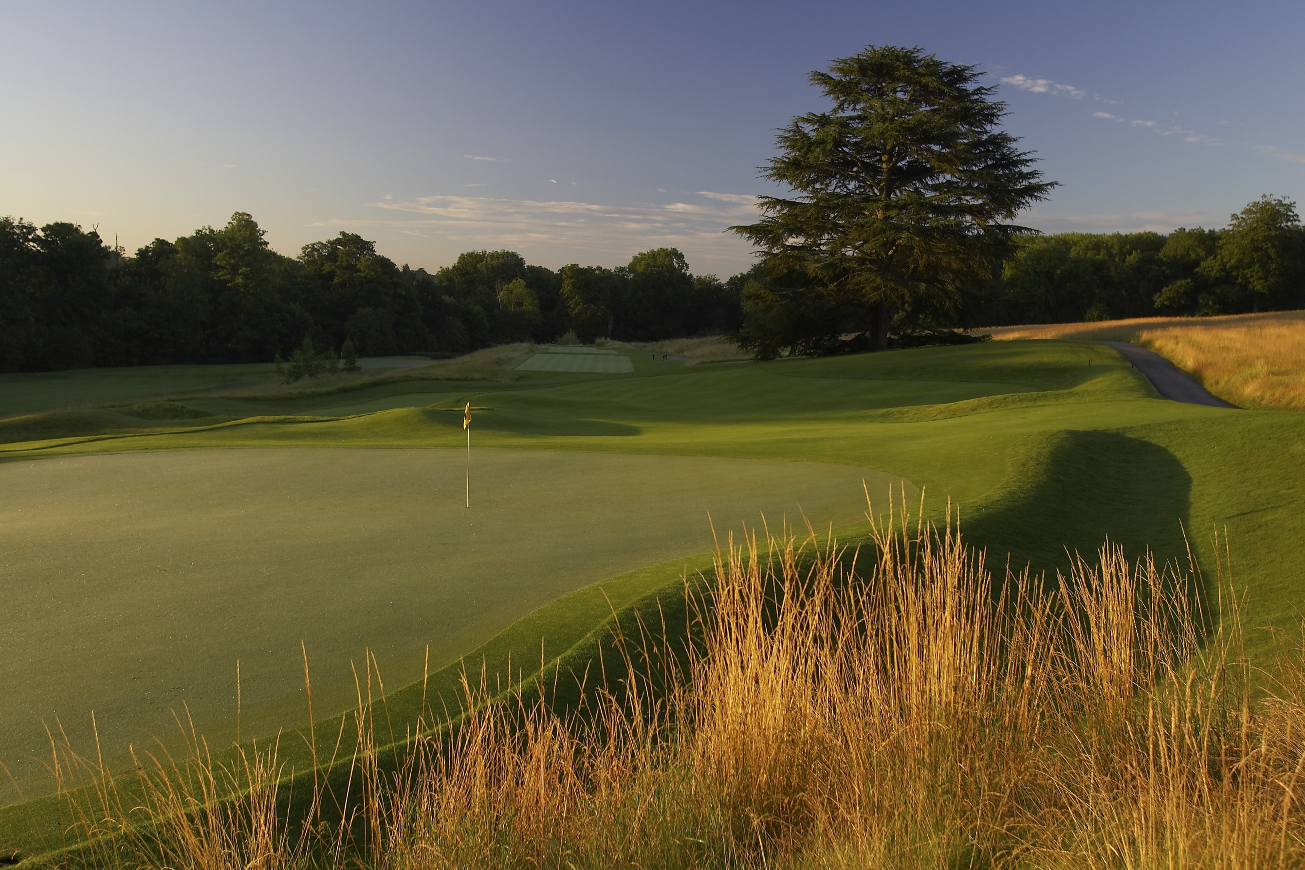 The Grove's greens are the standout feature of the course