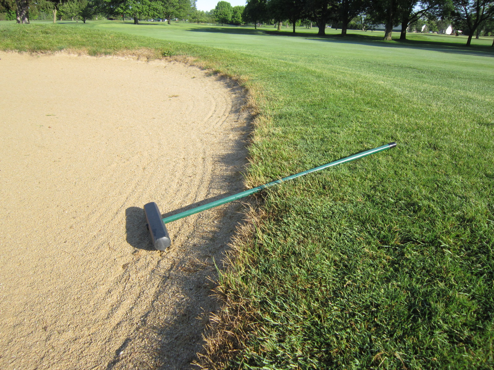 Golf's great debate! Do you leave the rake IN or OUT of the bunker?