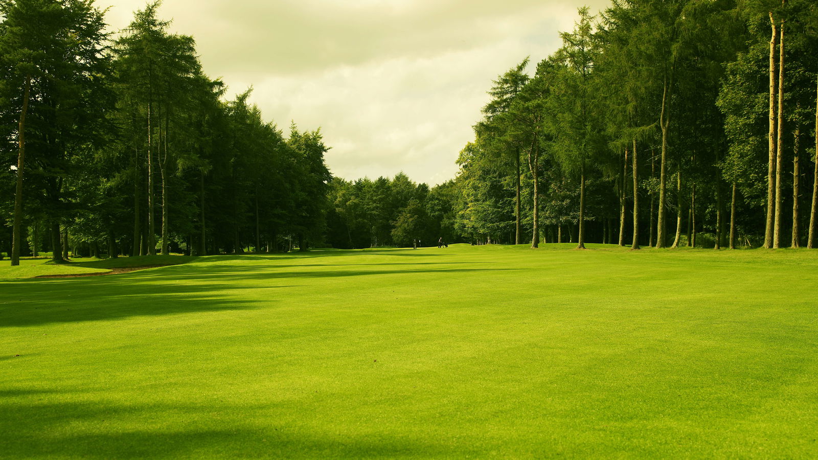 Forest Pines: The perfect Solheim venue