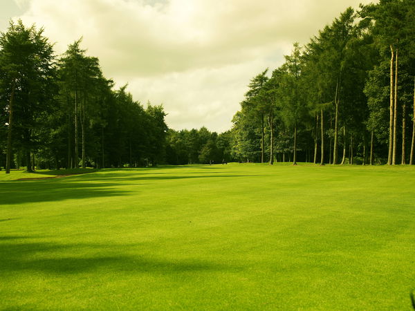 Golf and serenity at Tudor Park