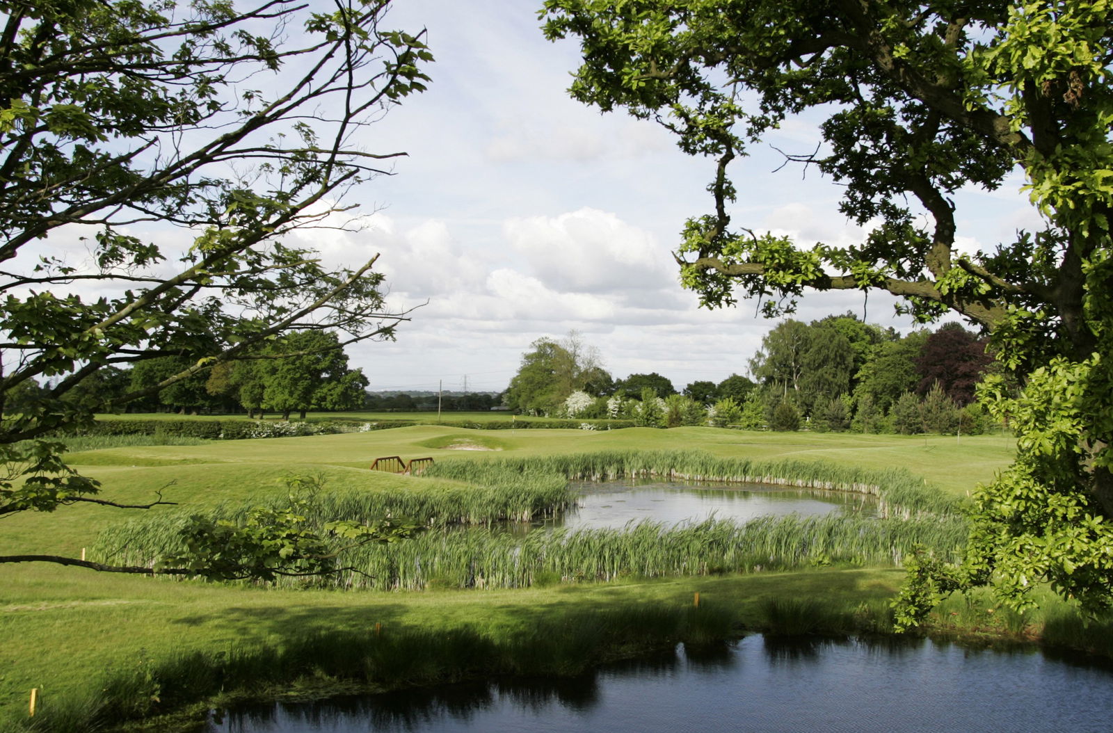 Sir Nick praise for Welwyn's Tom