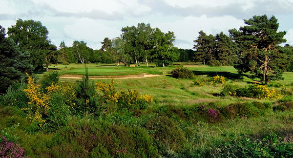 Ryder Cup reunion at Walton Heath