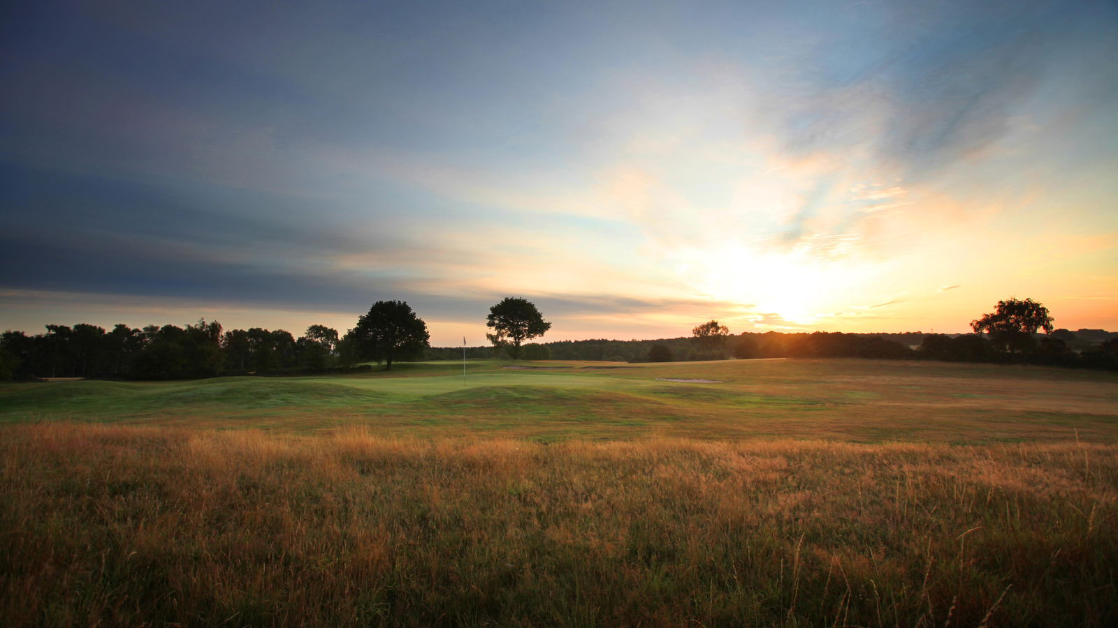 Marriott Breadsall Priory: Moorland
