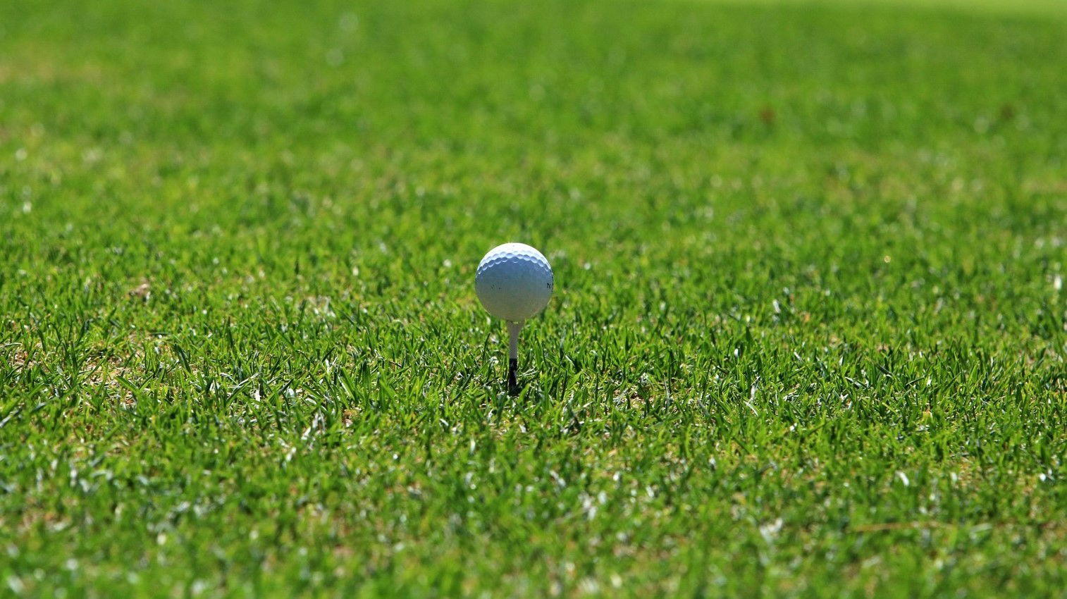 UK golf club ends membership to become pay-and-play due to COVID-19