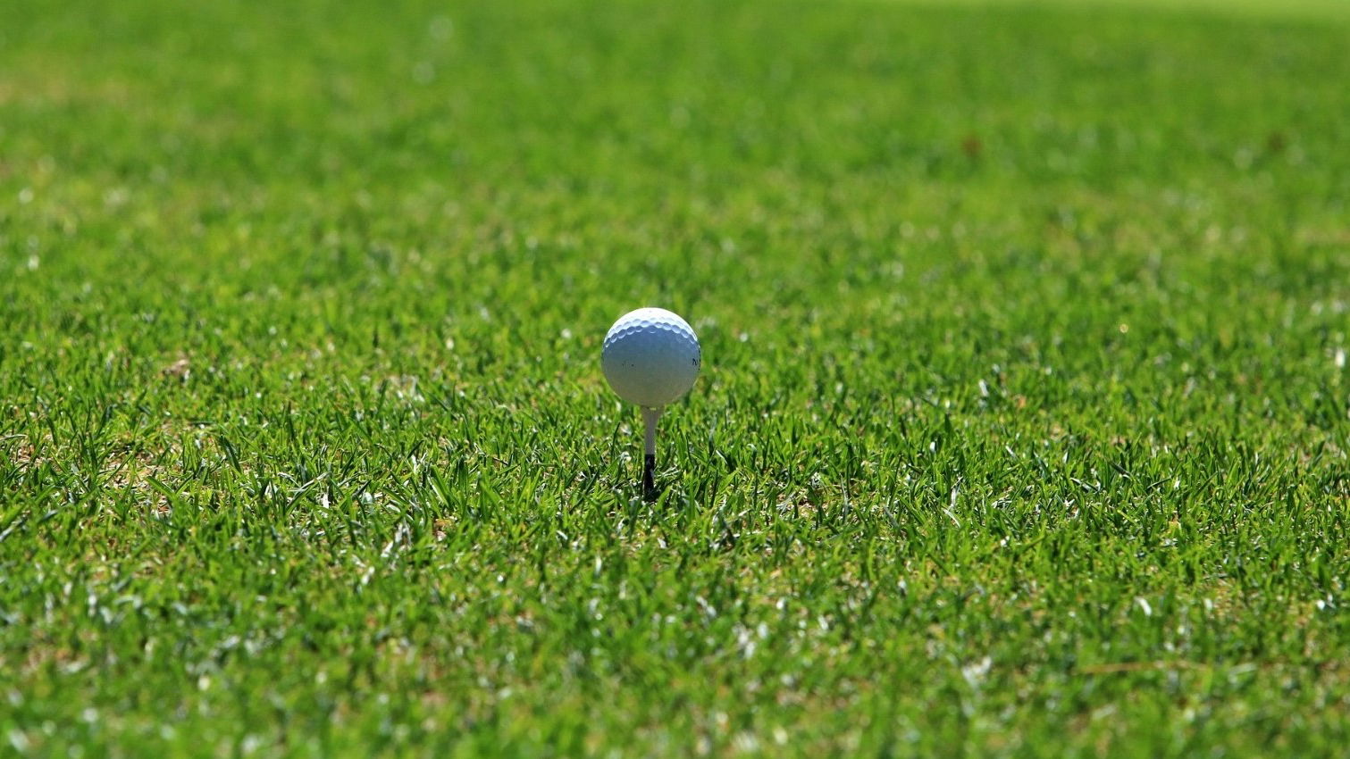 UK golf club ends membership to become pay-and-play due to COVID-19