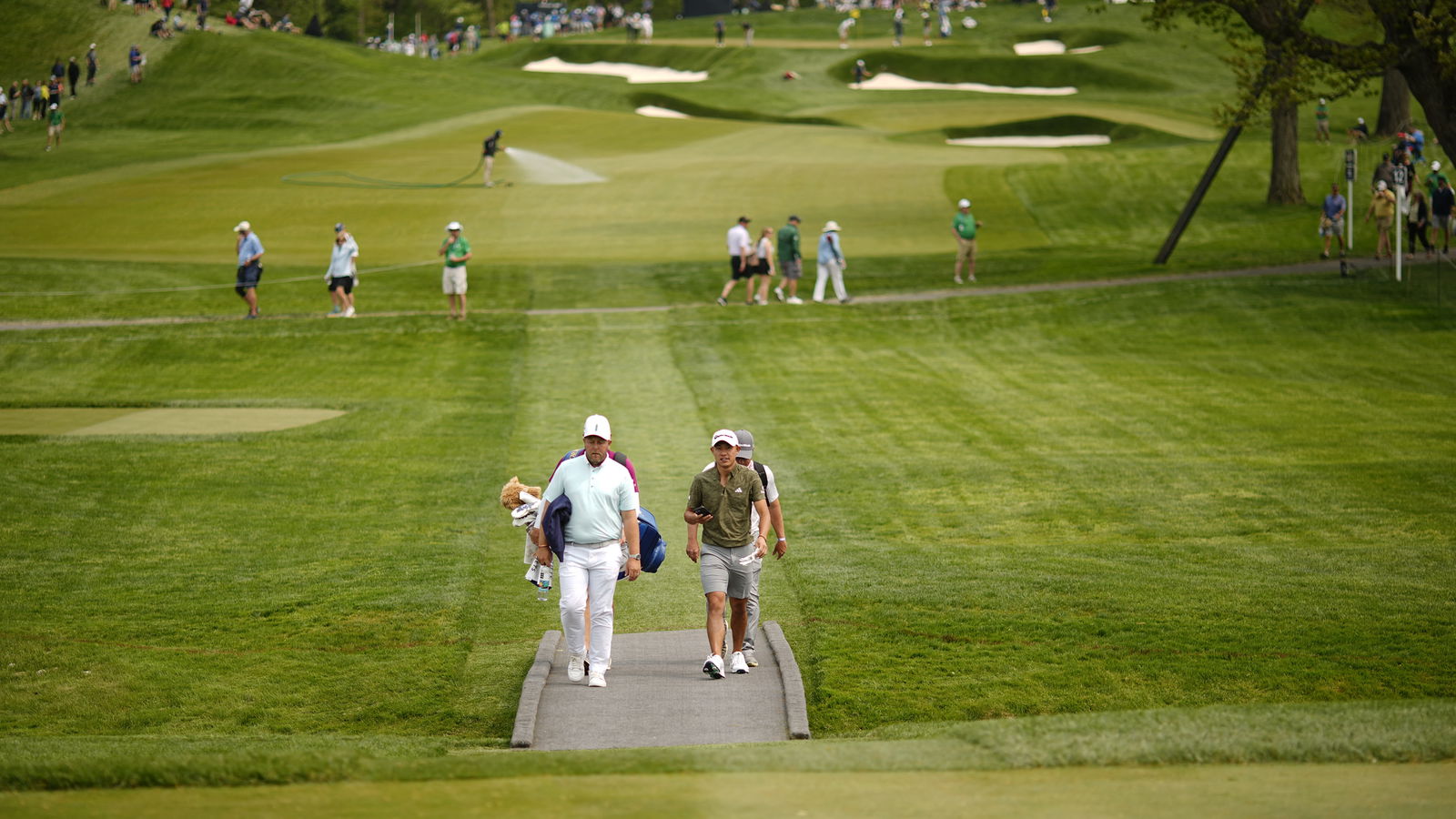 DP World Tour pro: 