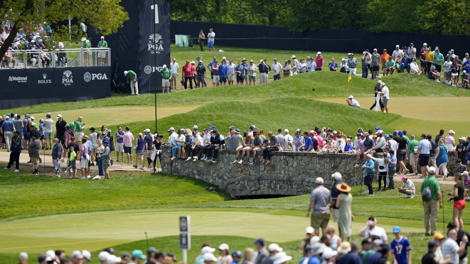 Pro blames double bogey during Senior PGA Championship on 